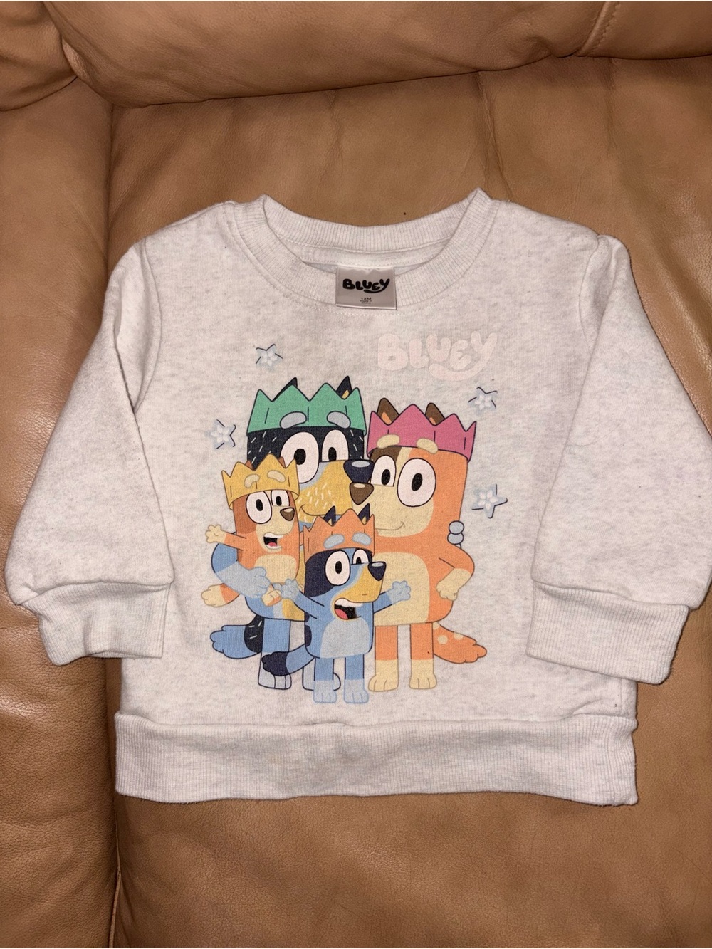 Kids' Bluey Crewneck Sweatshirt - Light Gray